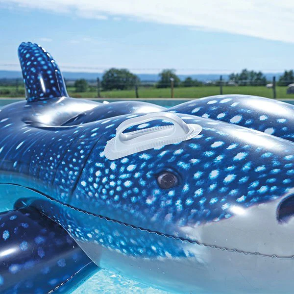 Baleine gonflable piscine - Image 13