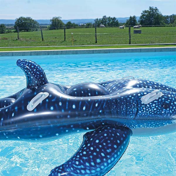 Baleine gonflable piscine - Image 14