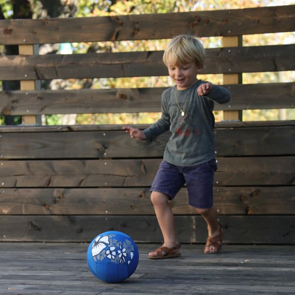 Ballon volley piscine Hawaï - Image 11