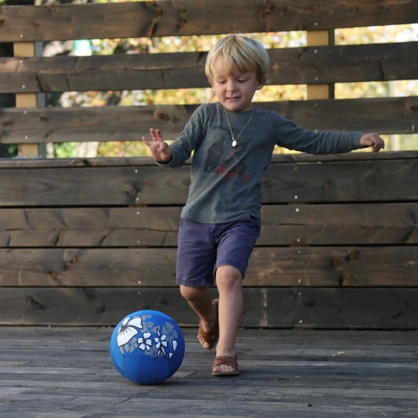 Ballon volley piscine Hawaï - Image 19