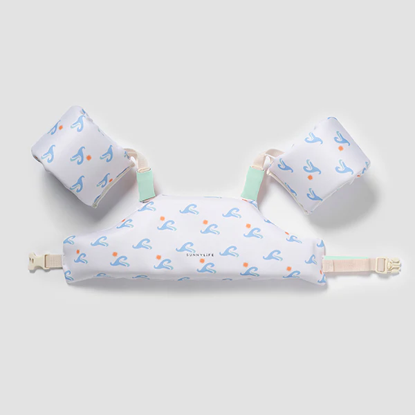 Brassards Ceinture - Image 5