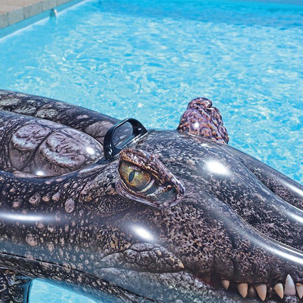 Crocodile gonflable piscine - Image 11