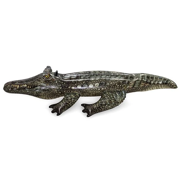 Crocodile gonflable piscine - Image 12