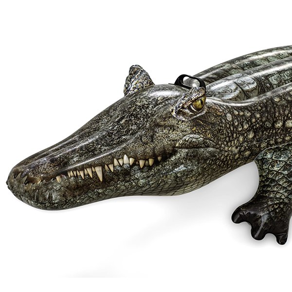 Crocodile gonflable piscine - Image 13