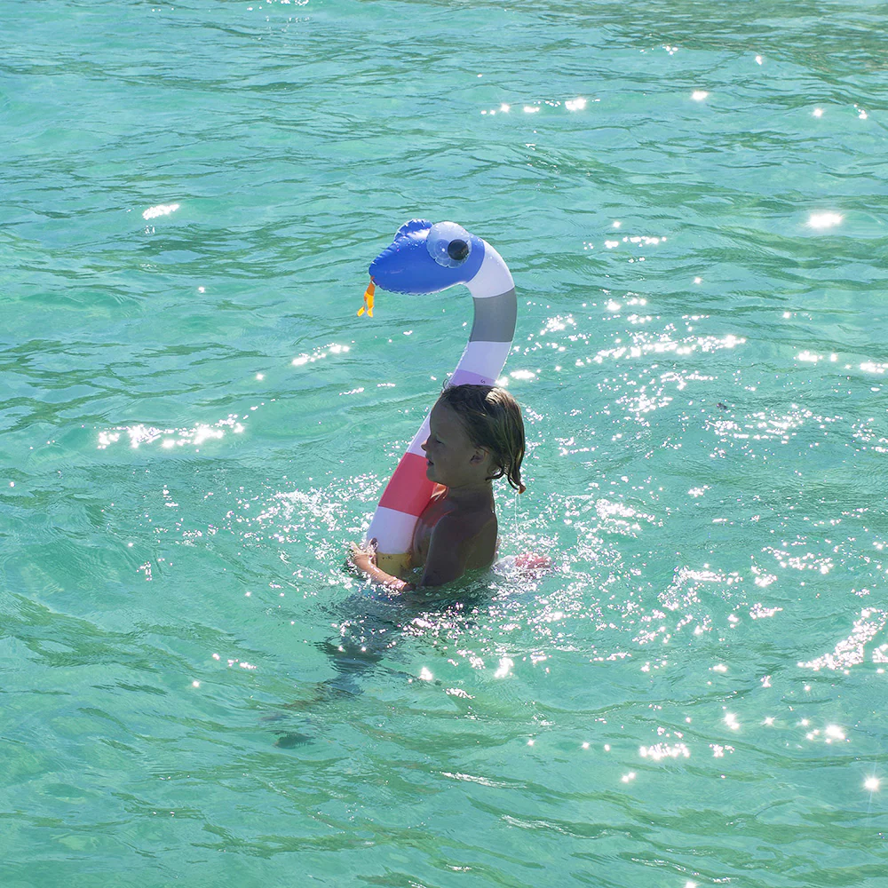 Frite piscine enfant serpent Snake x2 - Image 5