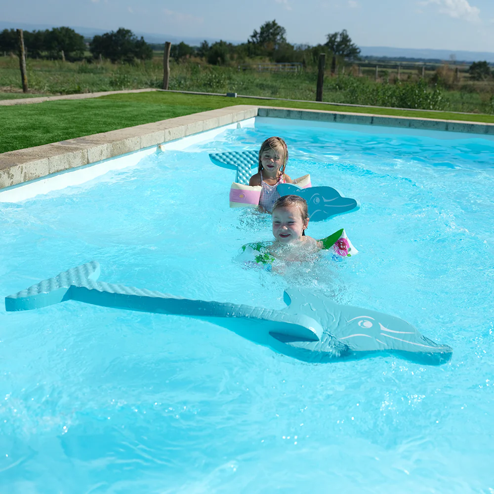 Jeu de piscine dauphin Léo - Image 4