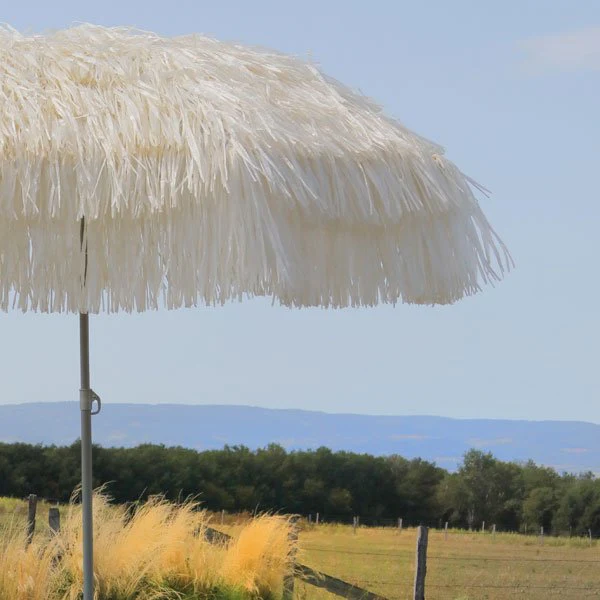 Parasol Hawaï - Image 3