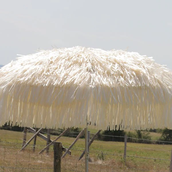 Parasol Hawaï - Image 6