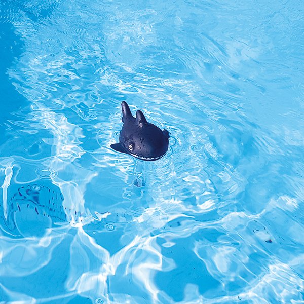 Thermomètre original requin Squale - Image 3