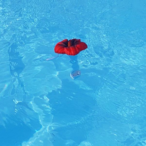 Thermomètre piscine original Tropical - Image 11
